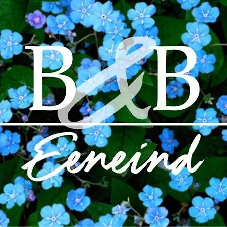 B&B Eeneind-3